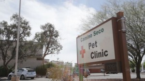 PHOTO IMAGES-Camino Seco Pet Clinic AZ (106 of 135) [800x600]   